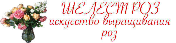 Главная
