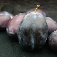 Чернослив Козловский